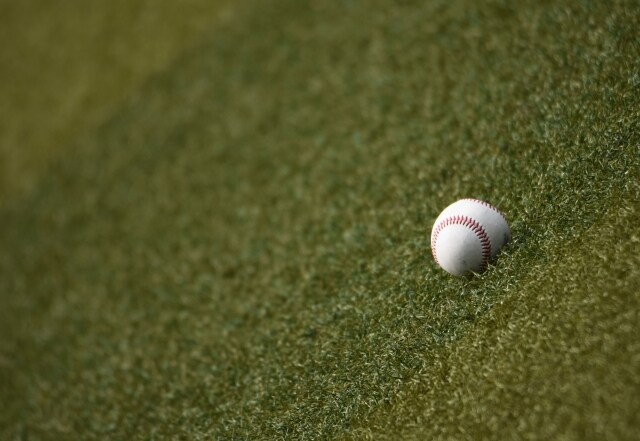 プロ野球全般に関する記事を作成します プロ野球に関する事ならなんでも執筆いたします。 イメージ1