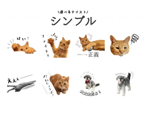 フルオーダーLINEスタンプ★ 8個〜★ 作ります 大切なペットを可愛いスタンプに！重視、丁寧制作 イメージ5
