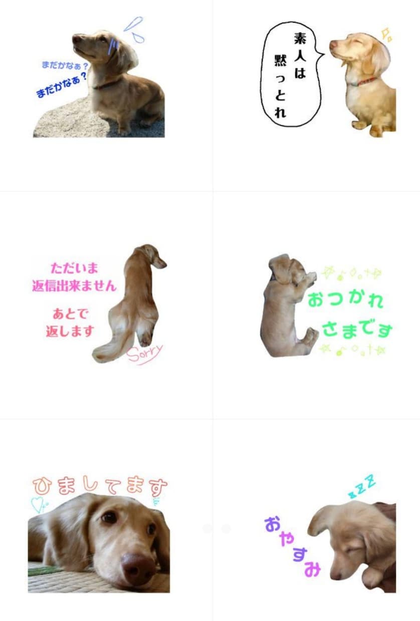 LINEスタンプ作成します 写真を使ってLINEスタンプを作成します♪ イメージ2