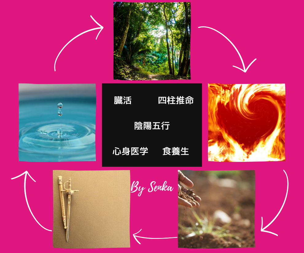 薬に頼りたくない人の自分専用健康トリセツになります 生まれながら持つ体質と本質から自分整え方法だけ身につける イメージ1