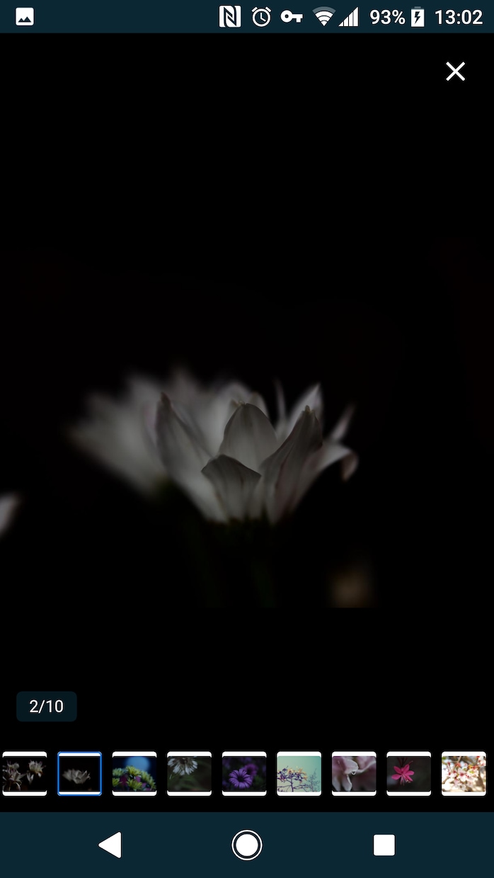 花のおしゃれなオリジナル写真素材を提供します WEBサイト・ロゴ・バナーなどに！4608 x 3456 イメージ2