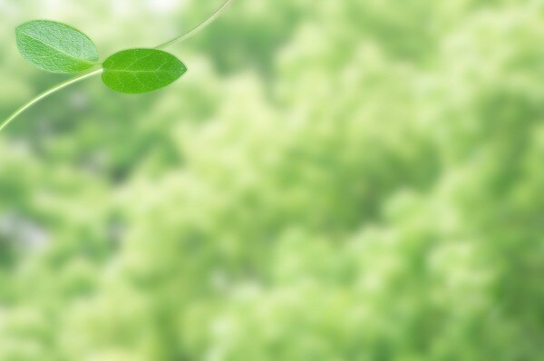 興味を引くブログタイトル考えます ブログのタイトルに悩んでる方、悩み解消します。 イメージ6