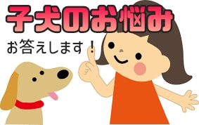 子犬のお悩み相談乗ります 動物病院協会認定のインストラクターが力になります イメージ1
