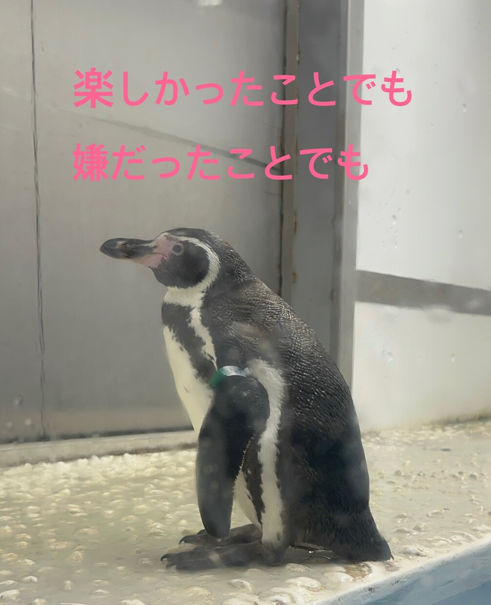 関西弁がいいよって方には関西弁で話します 優しい関西弁でお話しします╰(*´︶`*)╯♡ イメージ4