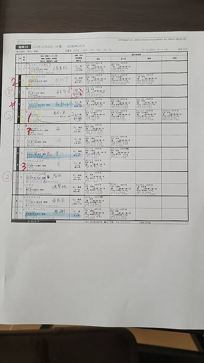 出馬表のみで馬券になる馬を導きます 一緒に穴馬見つけましょう！！！ イメージ1