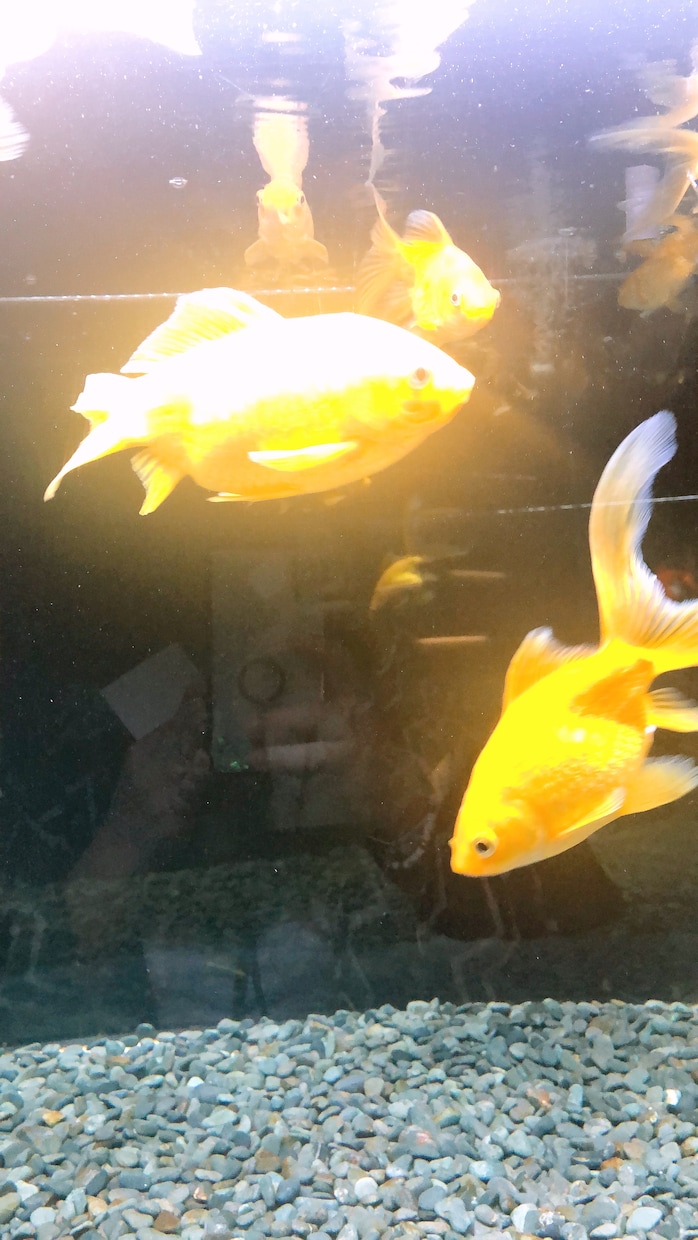 何でもお話聞きます 少しでも気持ちが落ち着くように一緒にお話しましょう！ イメージ1