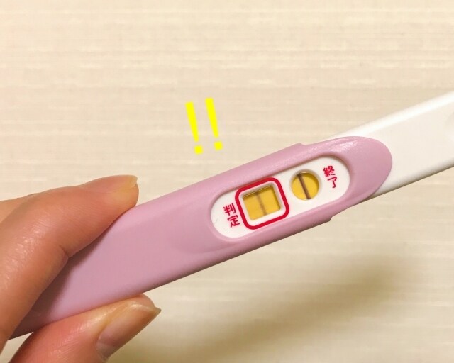 元胚培養士が妊活の進め方を専門的に整理します 妊活の迷いを整理して次の一手を見つける イメージ7