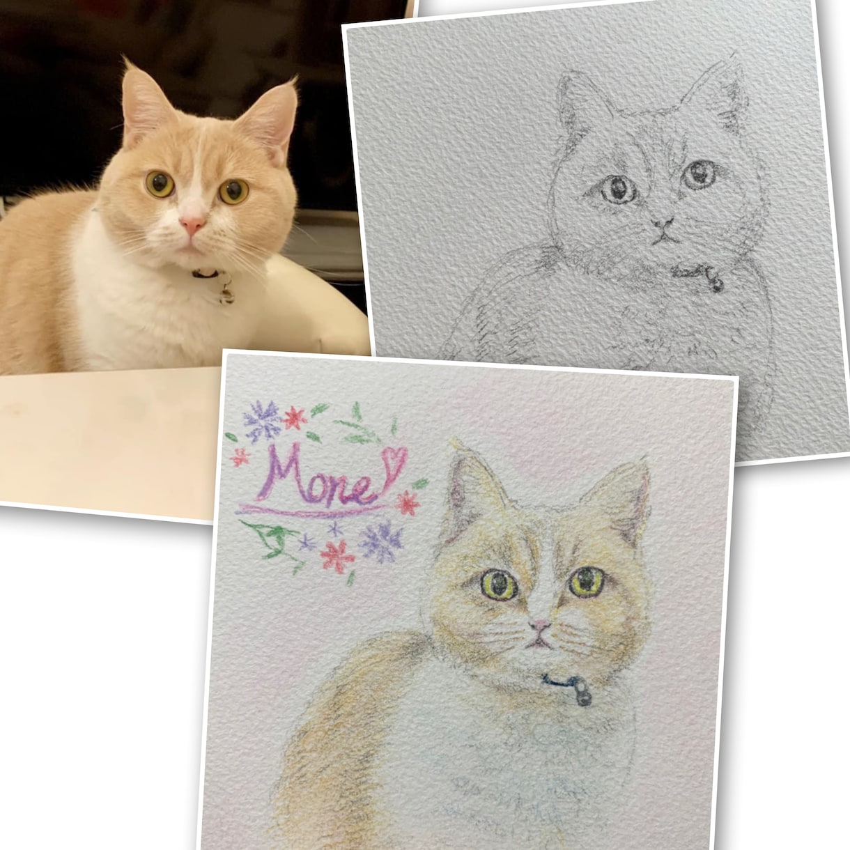 大切な家族のペットのイラストを水彩色鉛筆で描きます 優しい水彩鉛筆の雰囲気、世界に一つだけのペットのイラスト イメージ2