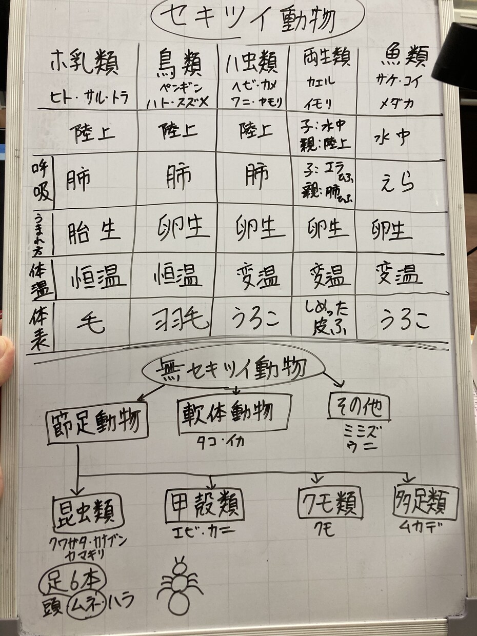新学年に向けて苦手分野をなくすお手伝いをします 小中学生の家庭教師歴20年以上の私とお勉強しましょう！ イメージ1