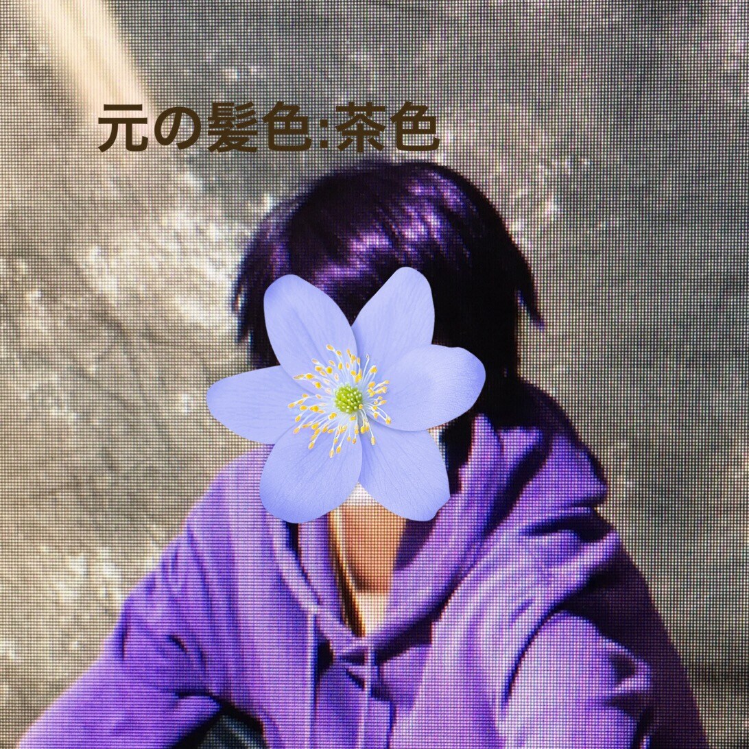 画像加工で髪色変えてみませんか？ イメージ2