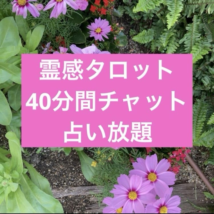 40分間占い放題のチャット鑑定をします 時間を決めて40分間占い放題です。 イメージ1