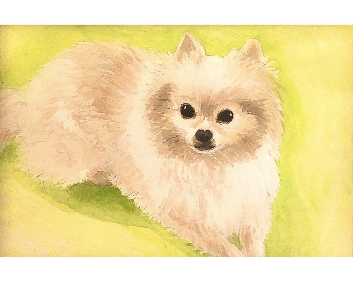 水彩でリアルなペットのイラストを描きます 現在、都合により受付休止中です イメージ5