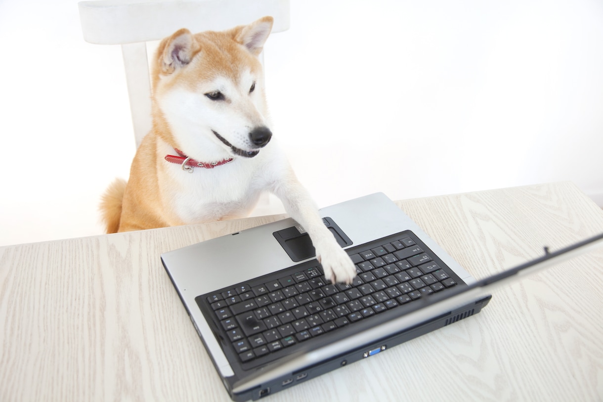 はじめてのビデオチャット お試し相手になります ご自身のビデオチャット商品を試したいと考えている方へ イメージ10