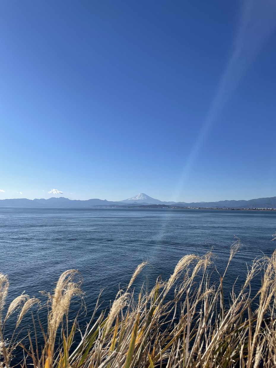 心にそっと寄り添う深掘りリーディングいたします モヤモヤの奥にある“本当の気持ち”を一緒に見つけましょう！ イメージ2
