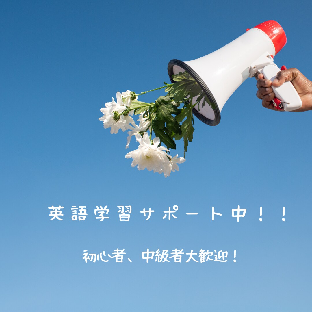 基礎から着実に！全力で英語学習サポートします 話せる感覚を増やす！独学経験豊富な私が学びを楽しくサポート！ イメージ1