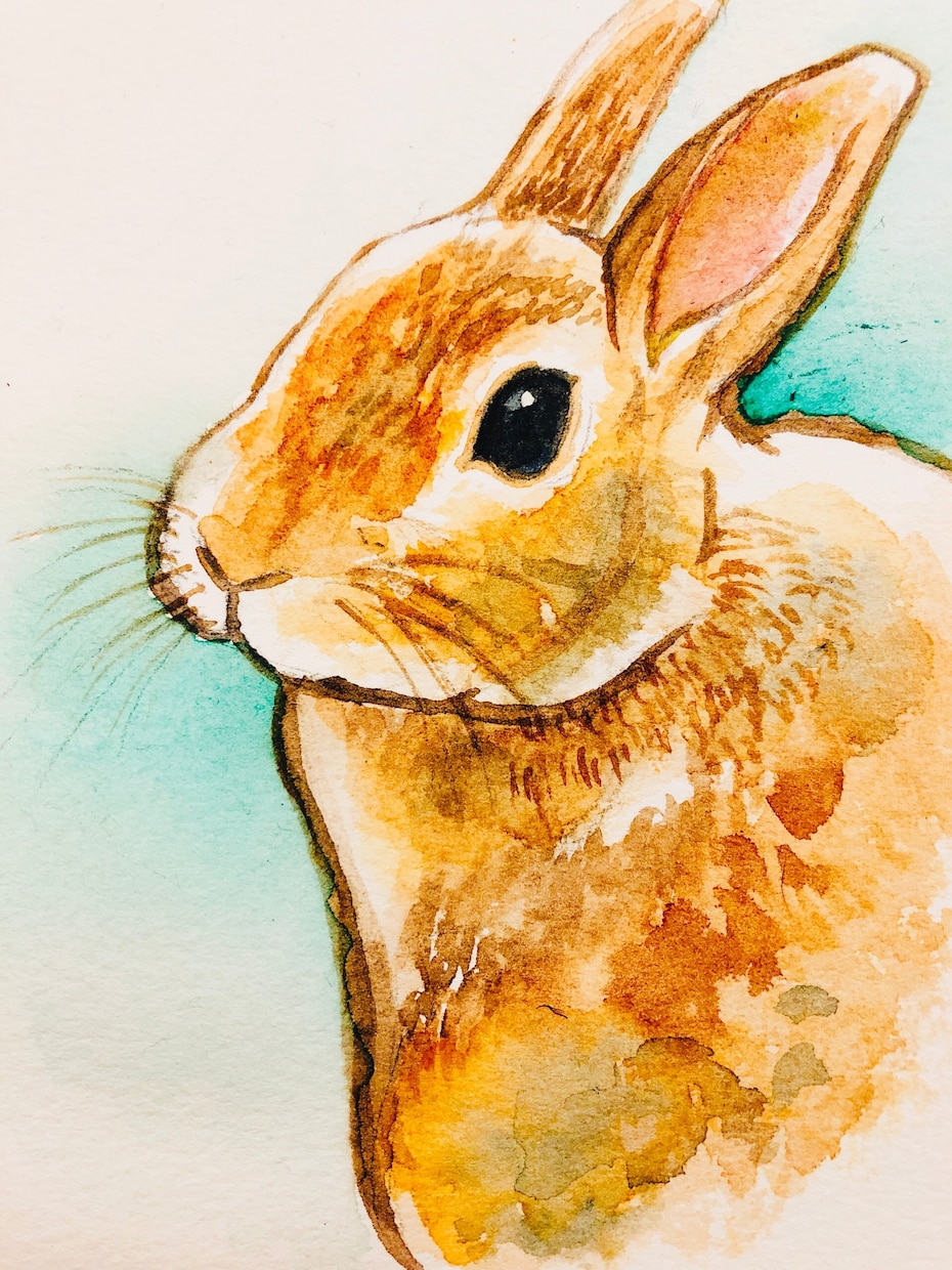 水彩画であなたの大切なペットの似顔絵お描きします 背景や小物描き込みできます！小動物もOK！ イメージ9