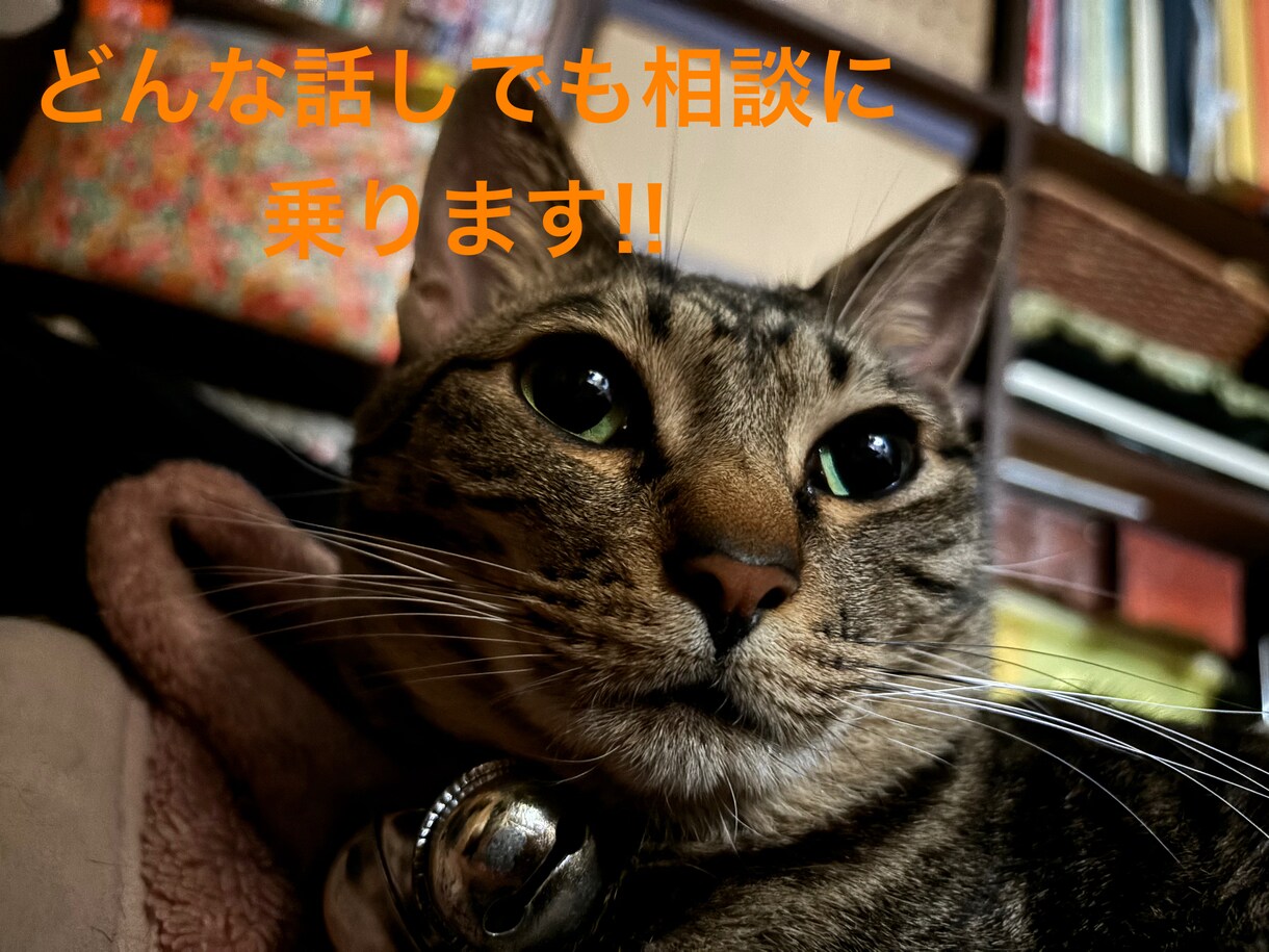 話し相手になります 普段誰にも離せないこととか聞きます！ イメージ1