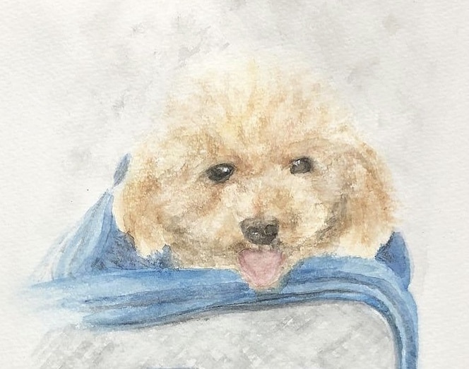 愛犬の似顔絵描きます 透明水彩でふんわり優しいイラスト！ イメージ2