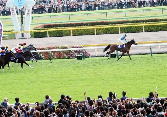 競馬引退につき、単勝勝ち馬見極め教えます 単勝勝負で、印を気にしない予想方法伝授します。 イメージ1