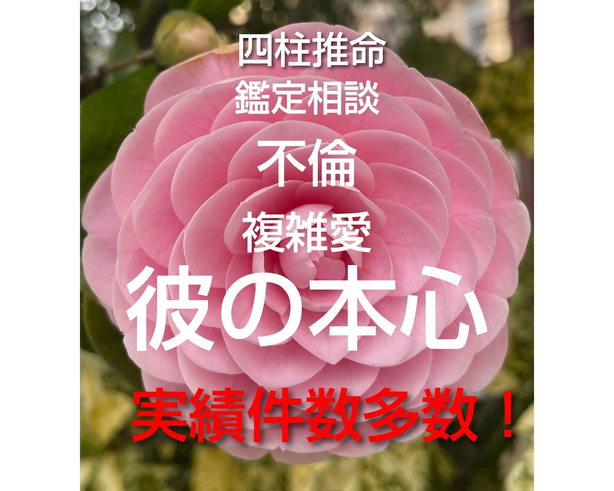 相手の本心に迫ります 四柱推命で鑑定相談します 実績件数多数 不安になっていた心が安定してきます イメージ3