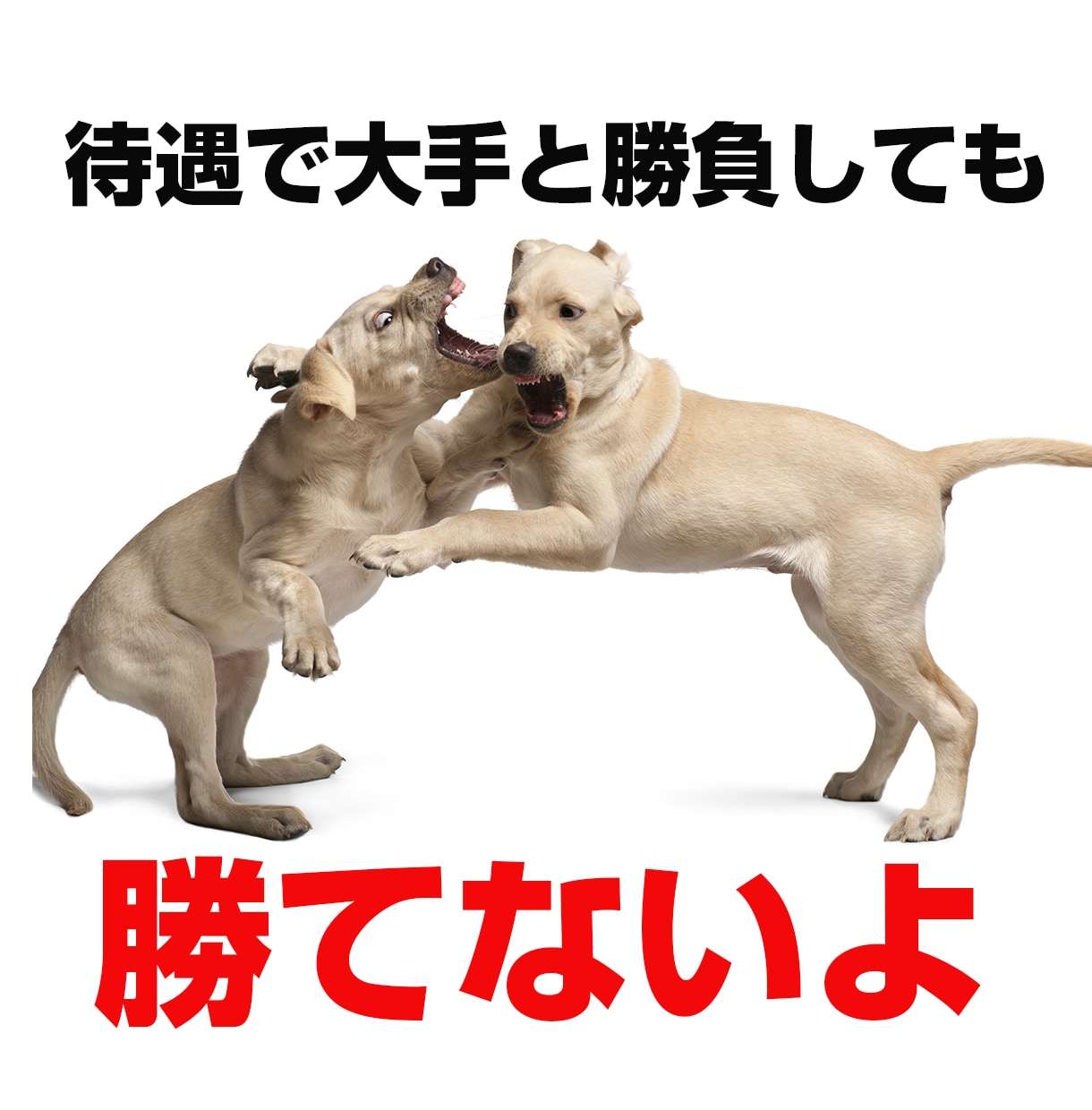中小企業が良い人材を採用するための戦略教えます 「中小零細企業の採用戦略」を学ぶ動画講義の提供となります イメージ3