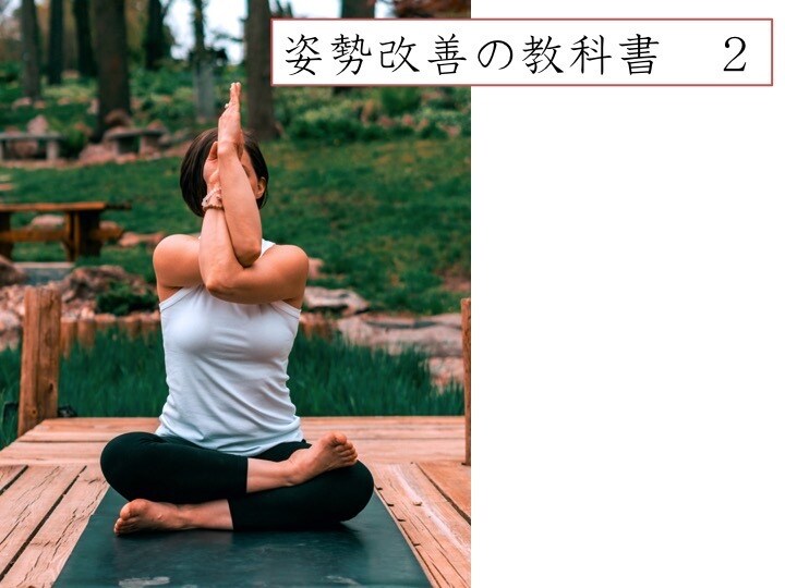 姿勢改善の教科書1〜3まとめて売ります ねこ背が気になるあなたにオススメ！！ イメージ3