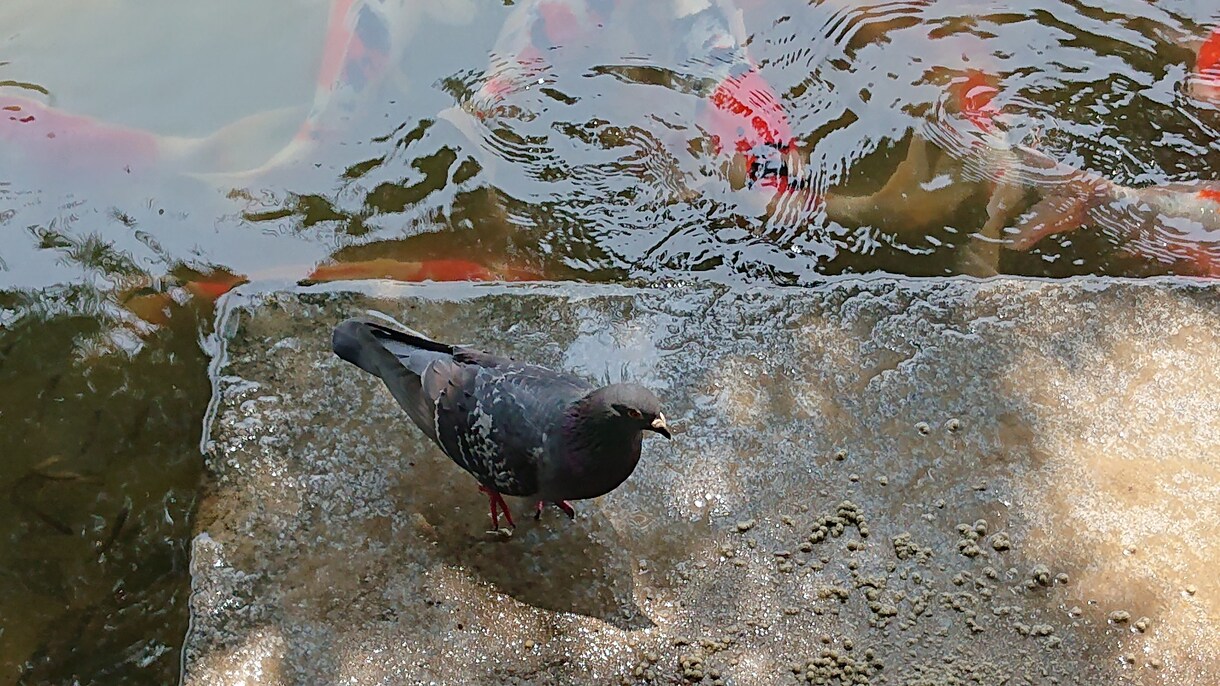 誰にも言えないトラブル、一緒に解決策を探します 時間は解決してくれません。豊富な経験と知恵でサポートします。 イメージ6