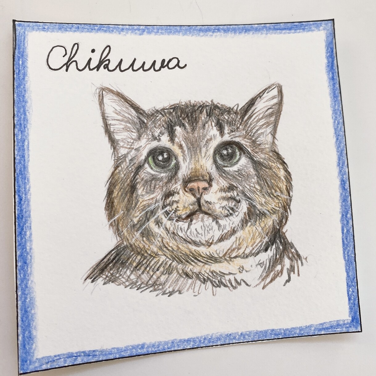 色鉛筆でペットの似顔絵を描きます フワッとしたタッチのペットの似顔絵をお求めの方へ イメージ3