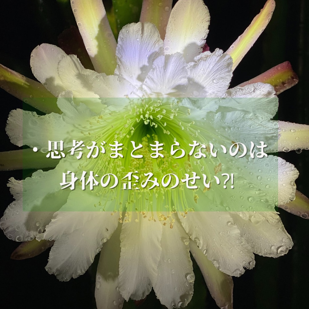 潜在意識に深く入るヨガ＆ヒプノセラピーで解決します 心身バランス整え相乗効果！直感☆集中力＆洞察力UP《４時間》 イメージ4