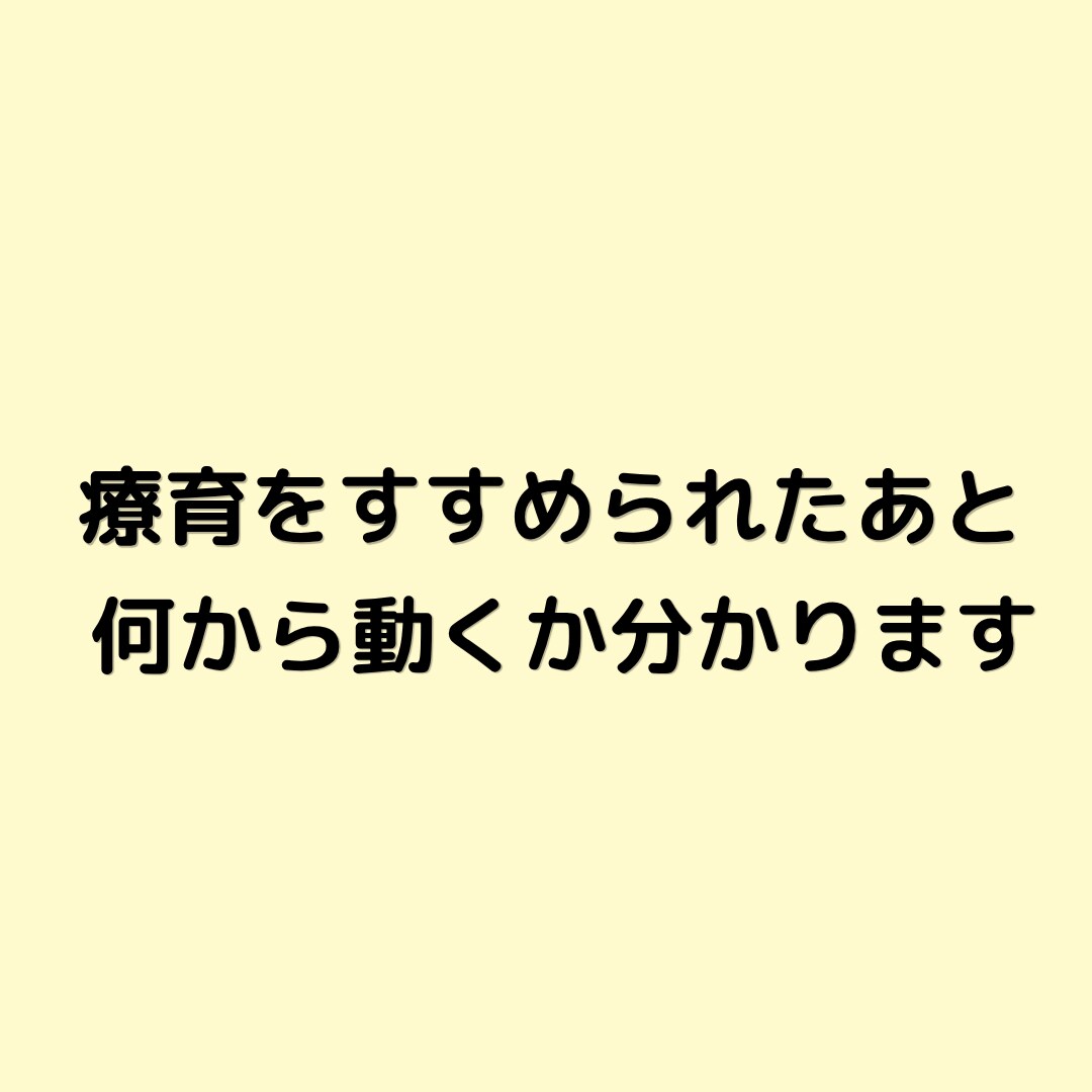 療育をすすめられた後、何から動くか整理します 何から動くか分からない状態を整理します イメージ1