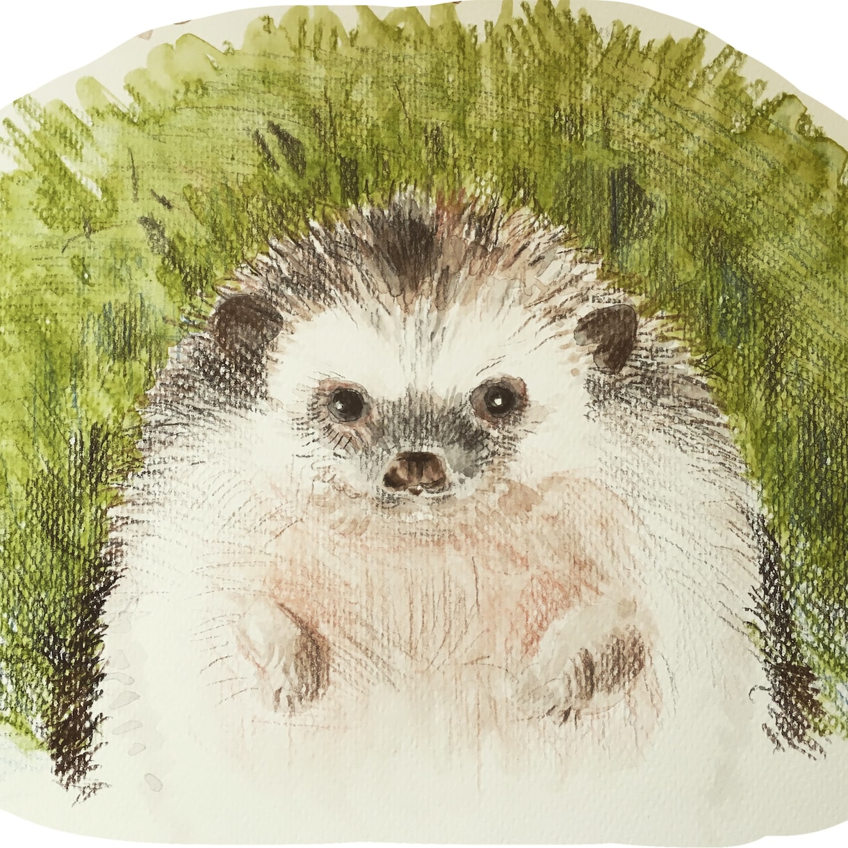 ペットのイラストお描きします（水彩） イメージ3