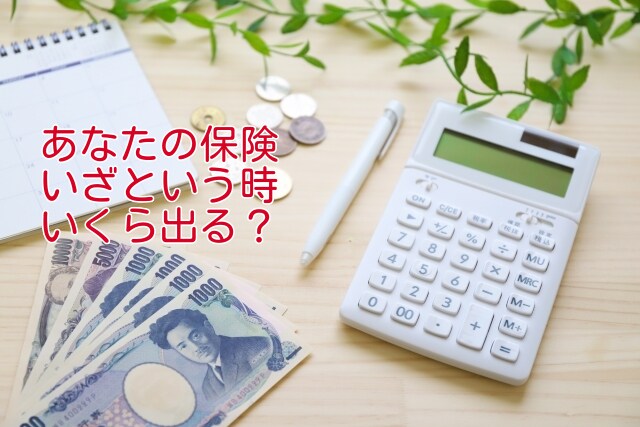 あなたの生命保険の内容をご説明します ファイナンシャルプランナーが、セカンドオピニオン イメージ1