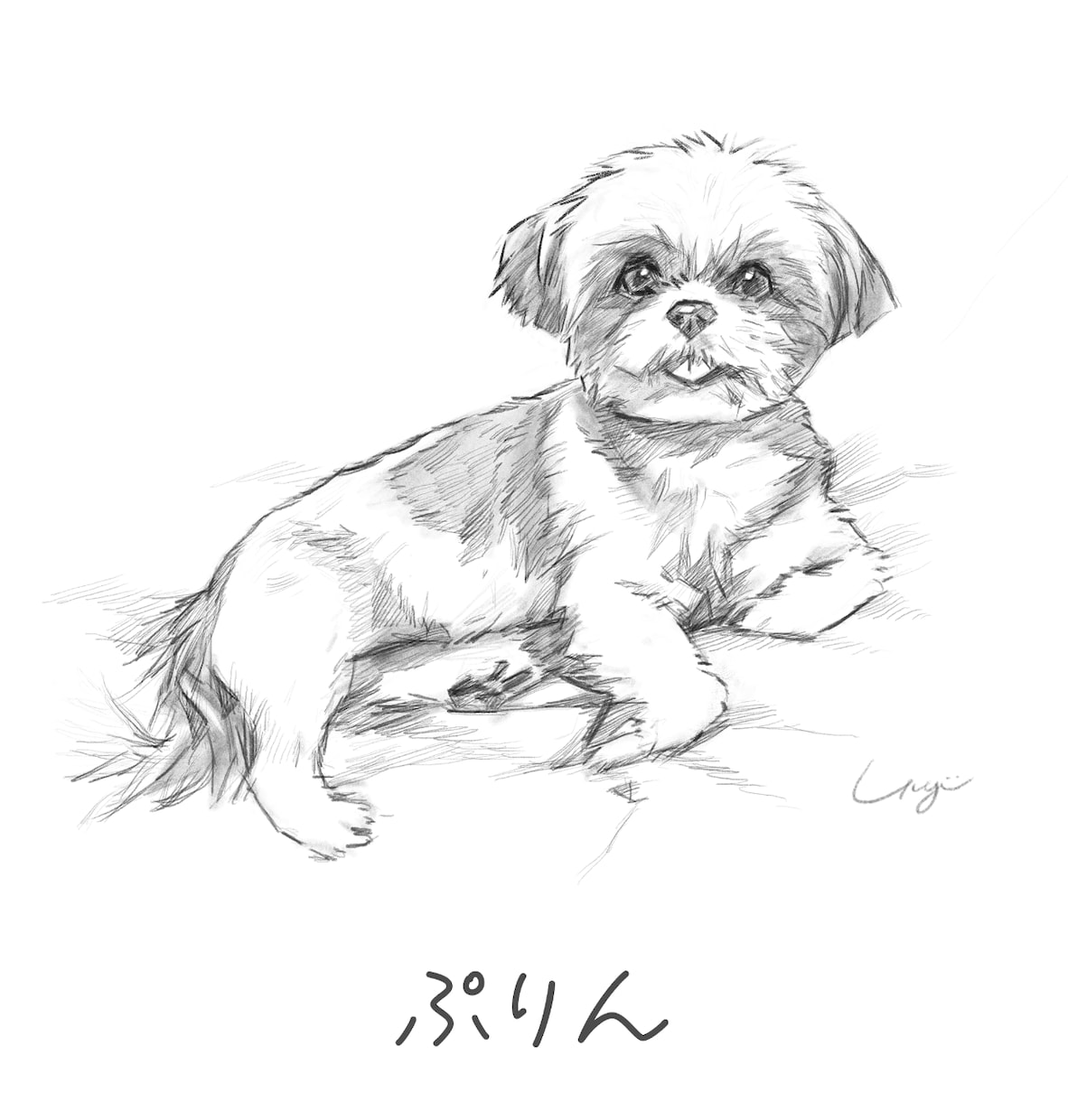 うちの子を温かみのあるタッチの絵で表現します 贈り物にも喜ばれる本格うちの子アートです イメージ10