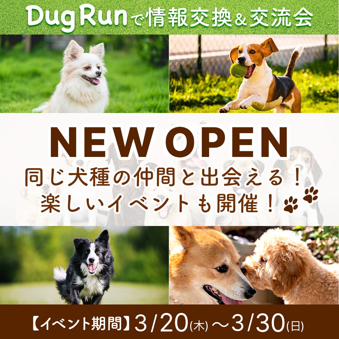 売上＆集客に直結するバナー＆ヘッダーを制作します バナー/サムネイル/FV何でも対応します！修正無料無制限！ イメージ6