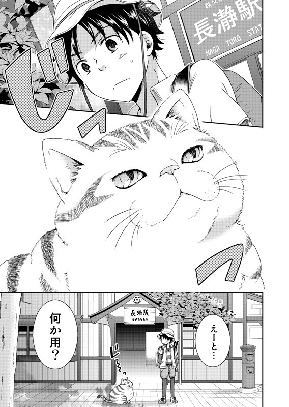 猫との思い出を漫画にします 猫との出逢いや別れ、日々の想い出を形にして残したい方へ イメージ2