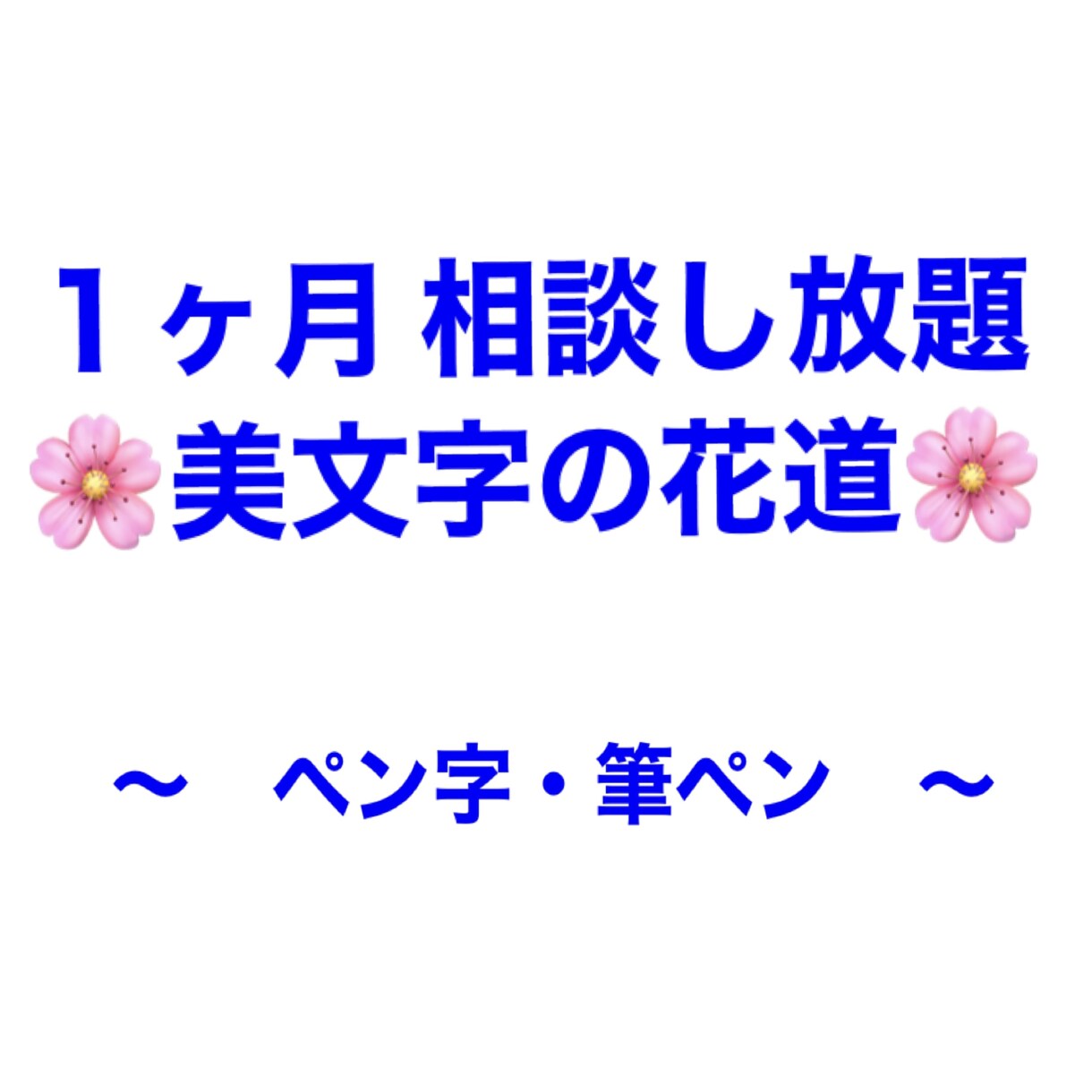 １ヶ月相談し放題で美文字へ導く！添削します 月の習い事感覚でいかがでしょうか？かなりお得です！☆ イメージ1