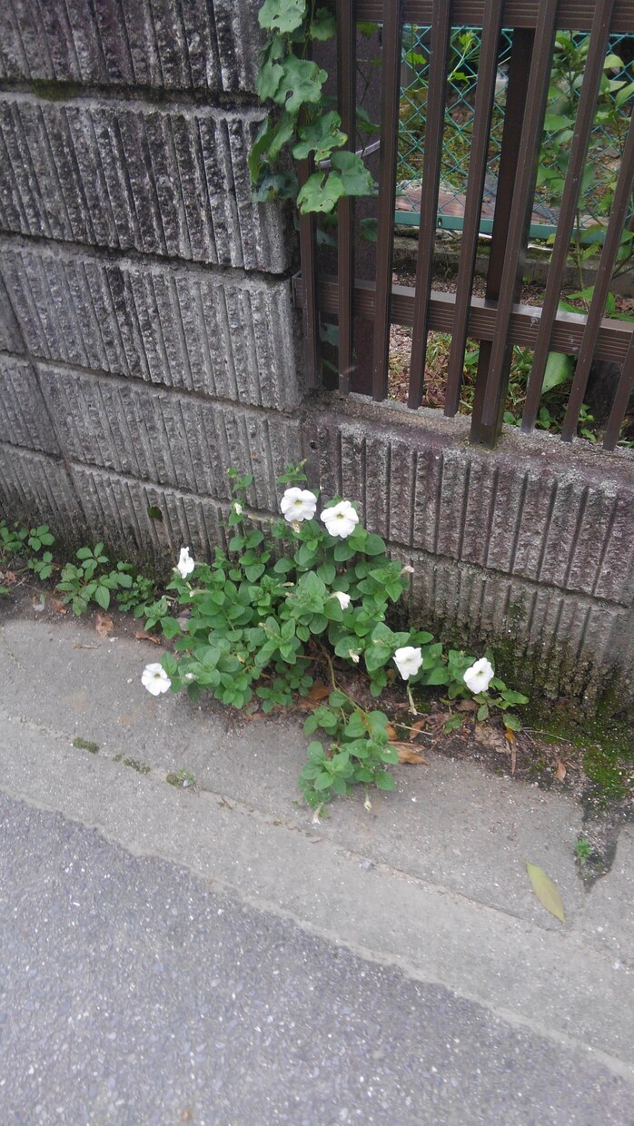 仕事、職場関係で悩まれてる方話聞きます 人間関係について悩まれてる方話聞きます！ イメージ1
