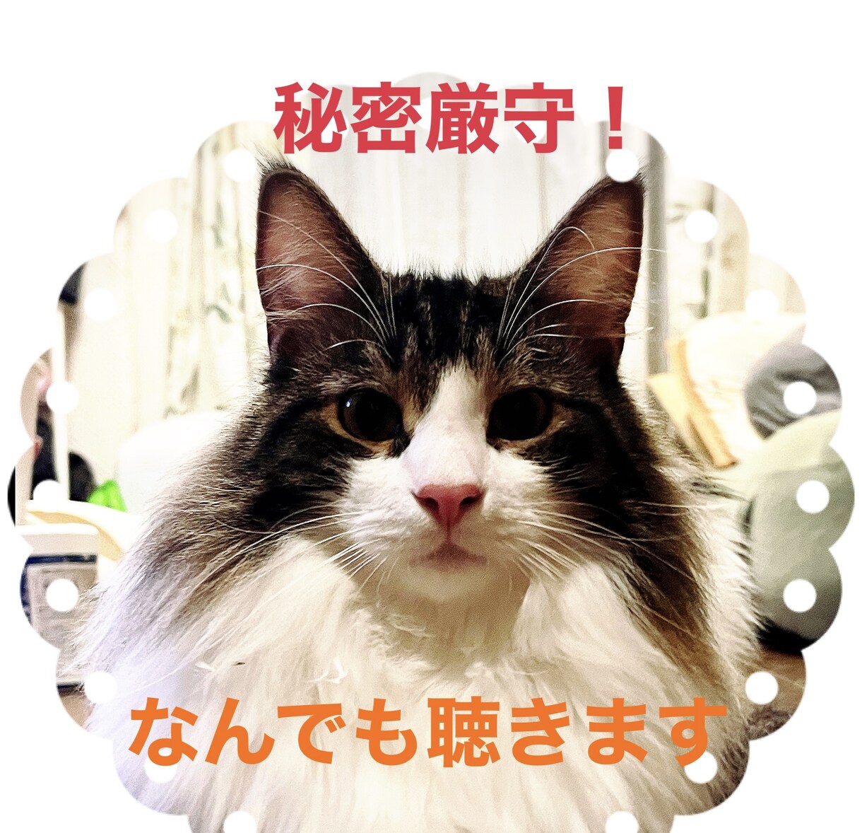 悩み、愚痴、相談、なんでも聴きます 話して楽になる事、整理できる事、いっぱいありますよ! イメージ1