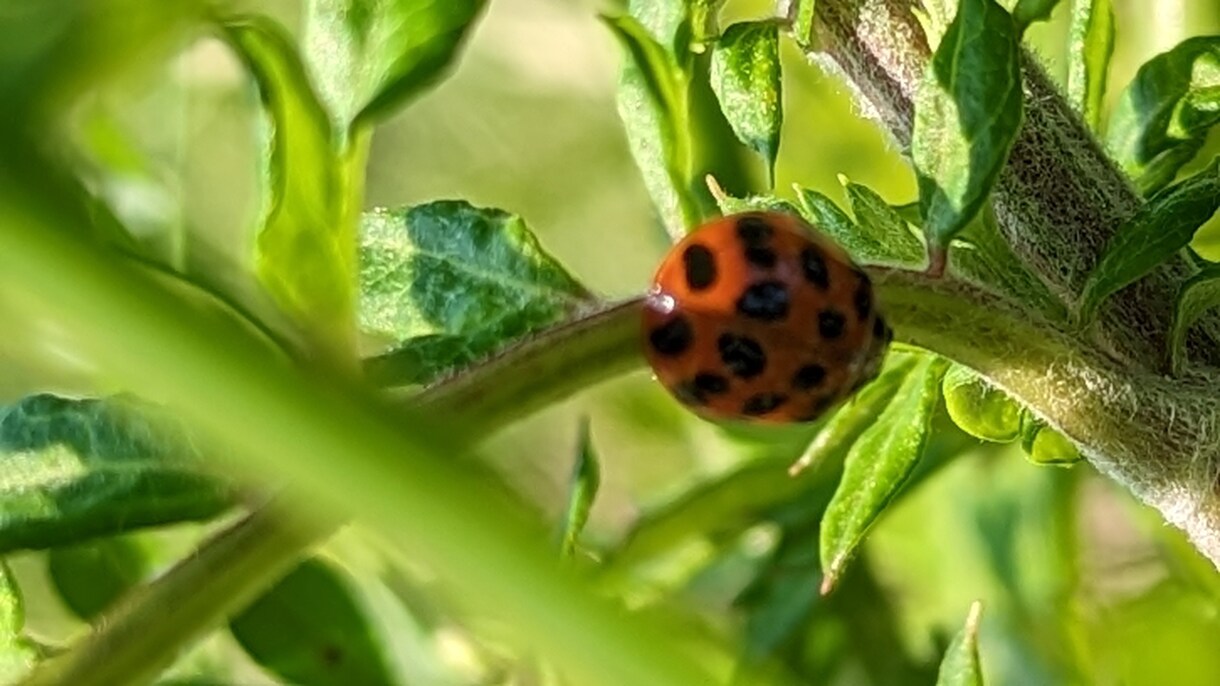 仕事の愚痴聞きます 職歴多数！喋ってスッキリしませんか？ イメージ2