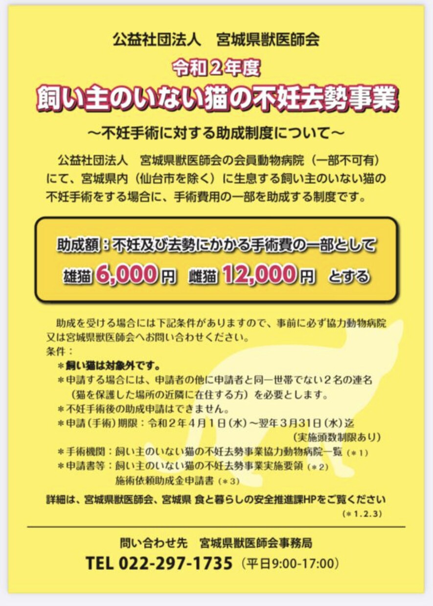 地域猫や多頭飼育崩壊した猫の格安不妊手術相談承ます この出品は購入はされないで、DMからお問い合わせ下さい イメージ4