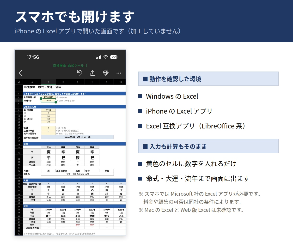 四柱推命の命式・大運・鑑定書をExcelで作ります 体験版が無料。ご自身の命式で確かめてから購入できます イメージ7