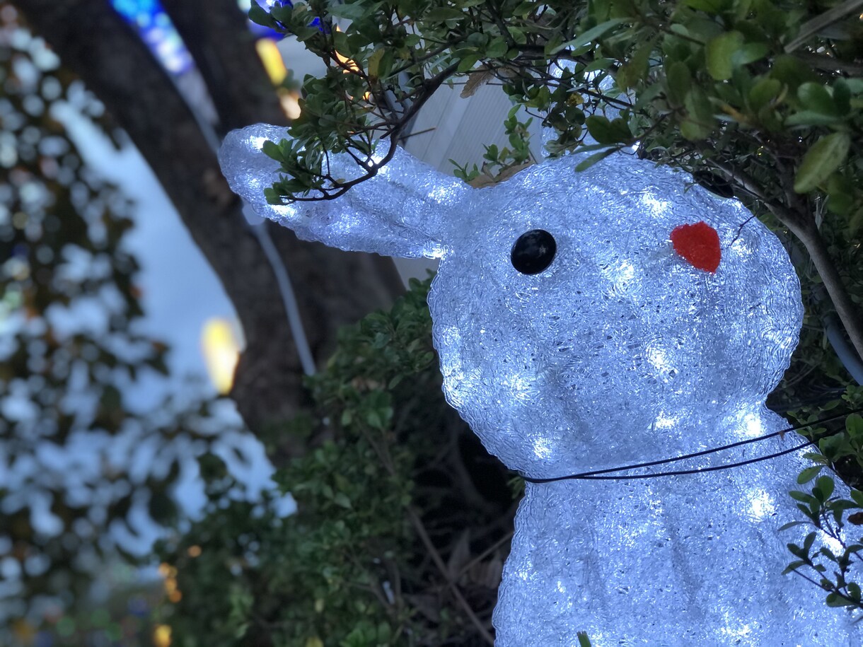 日常の何気ない話、今の気持ち聞きます なんでもない日々それは大切な日々なんとなく話でもしよう イメージ1