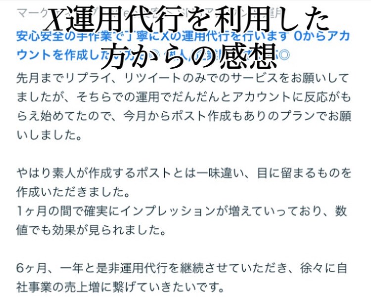 安心安全の手作業で丁寧にXの運用代行を行います 「2アカウント」依頼したい方専用｜個人/企業問わず対応◎ イメージ2