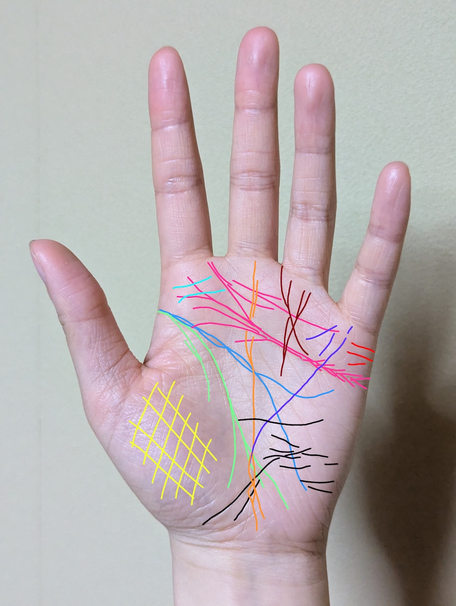 あなたに寄り添う手相鑑定/背中を押すお手伝いします 画像付きでわかりやすい鑑定／カラー線で細かく解説 イメージ2