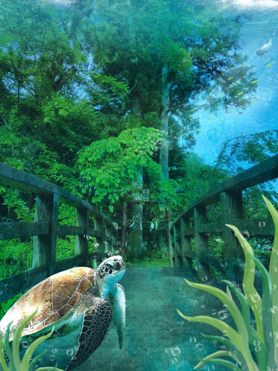 大切なペットの写真をさらに素敵にします あなたの大切なペットの写真をさらに思い出に残るような写真に！ イメージ3