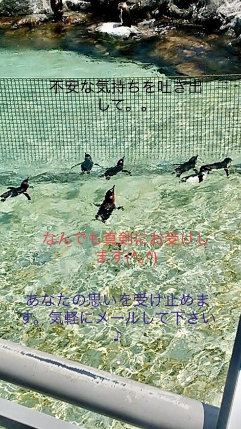 対人関係の悩み、生きづらさ…ご相談お受けします 現役介護福祉士があなたに寄り添い一緒に悩みを解決へ イメージ1