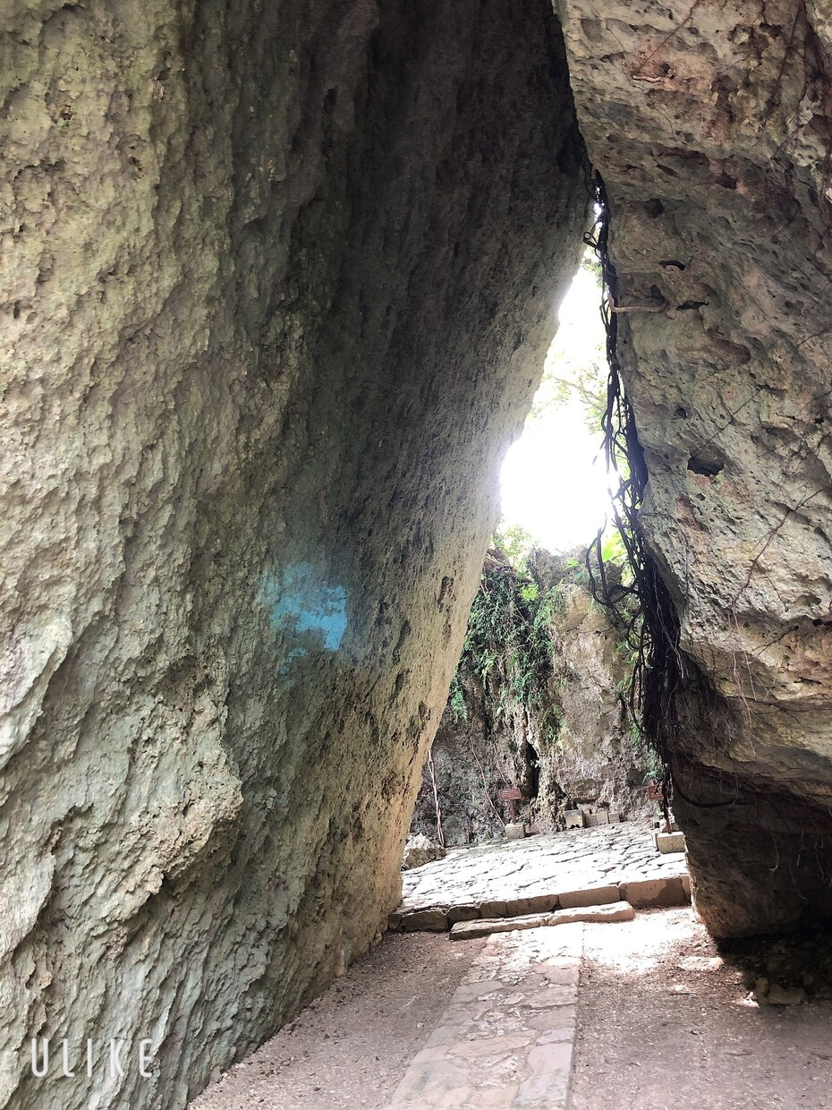 霊視、透視で相手の気持ちや未来お仕事など占います 相手の気持ちを視る事が主ですがお悩み全てに最善を尽くします イメージ6