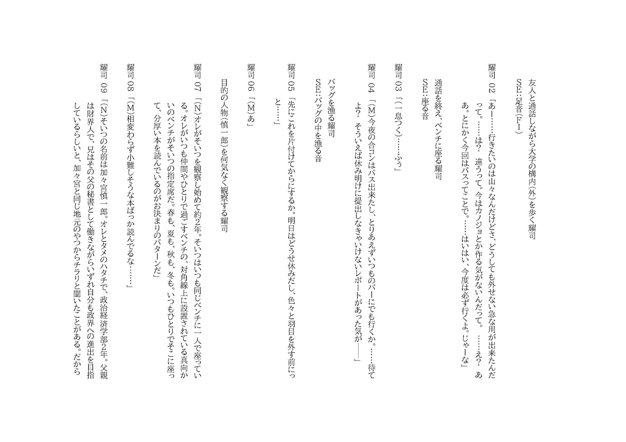商業経験有・女性向け作品のシナリオ執筆承ります シナリオ面から素敵な作品作りのお手伝いをさせて頂きます。 イメージ3