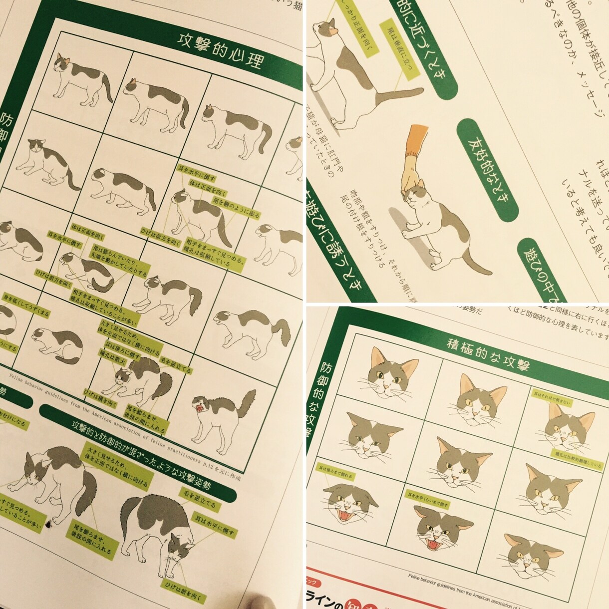 イラスト、似顔絵、ウェルカムボードなんでも描きます かわいい、オシャレ、をカタチに。 イメージ3