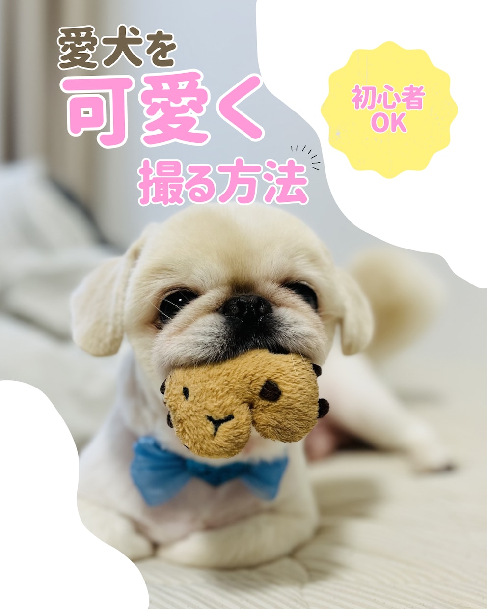Instagram投稿画像を作ります Canvaを使った可愛い画像作れます！ イメージ1